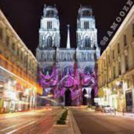 Chaleureux Appart, Proche De La Loire Avec Parking 奥尔良 外观 照片