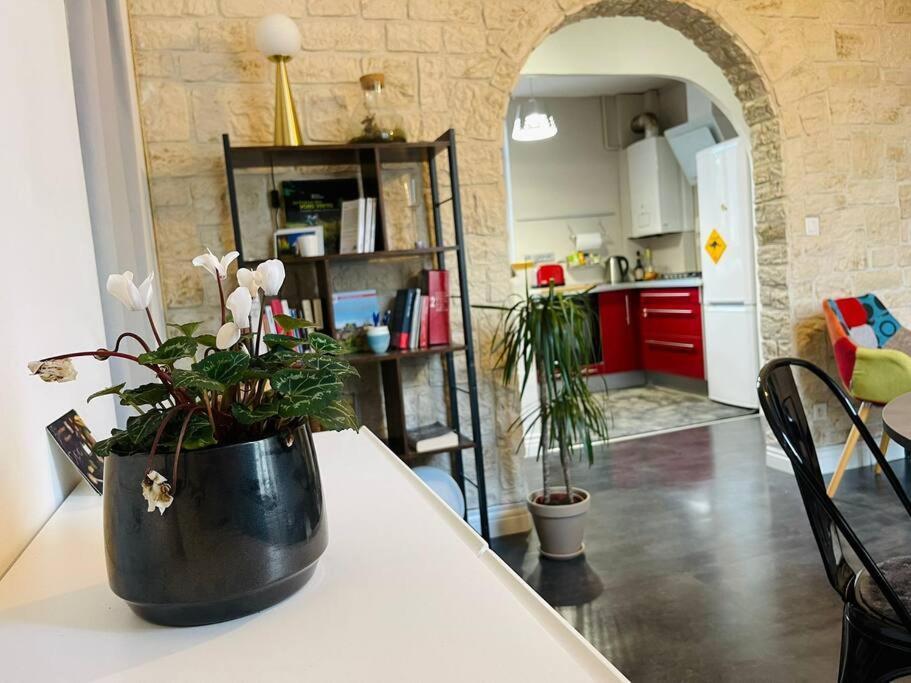 Chaleureux Appart, Proche De La Loire Avec Parking 奥尔良 外观 照片