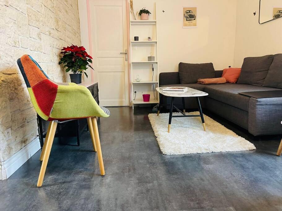 Chaleureux Appart, Proche De La Loire Avec Parking 奥尔良 外观 照片
